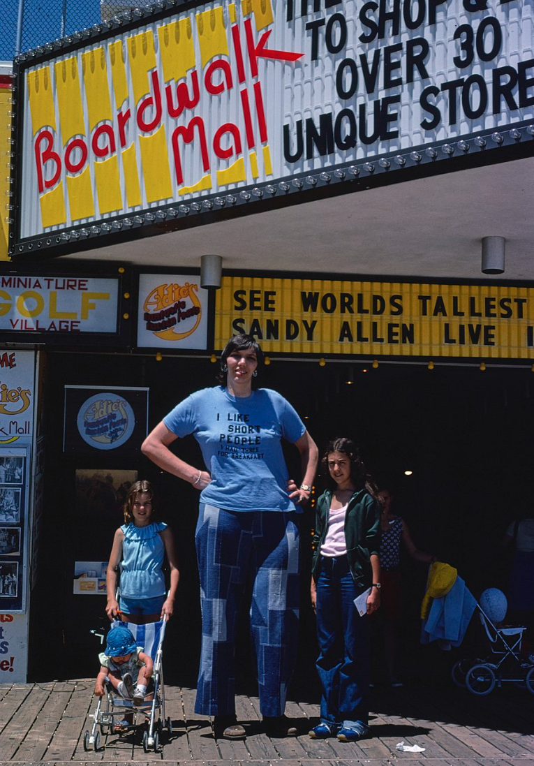 shebyville indiana Sandy Allen - World's Tallest Woman